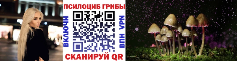 Псилоцибиновые грибы мицелий  KRAKEN ССЫЛКА  Курлово 